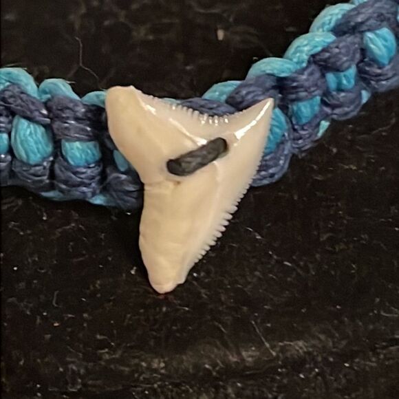 8” two tone adjustable woven cord bracelet w/14.7mm x 10.52mm real shark tooth - Picture 6 of 12